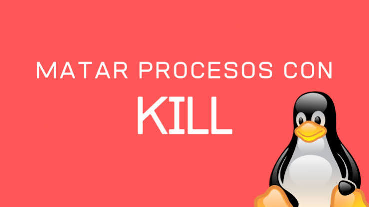 ¿Cómo puede matar procesos en un sistema linux?